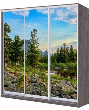 Шкаф-купе ХИТ 22-20/2-777 ПРИРОДА в Первоуральске - pervouralsk.mebel24.online | фото