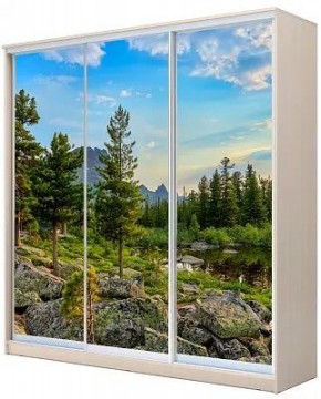 Шкаф-купе ХИТ 22-20-777 ПРИРОДА в Первоуральске - pervouralsk.mebel24.online | фото