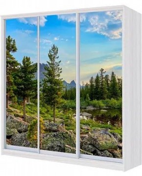 Шкаф-купе ХИТ 23-4-20/2-777 ПРИРОДА в Первоуральске - pervouralsk.mebel24.online | фото