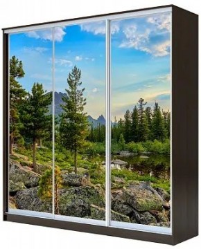 Шкаф-купе ХИТ 23-4-20-777 ПРИРОДА в Первоуральске - pervouralsk.mebel24.online | фото