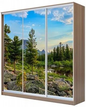 Шкаф-купе ХИТ 24-18-777 ПРИРОДА в Первоуральске - pervouralsk.mebel24.online | фото
