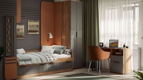 Шкаф платяной Хилтон Исп. 2 в Первоуральске - pervouralsk.mebel24.online | фото 5