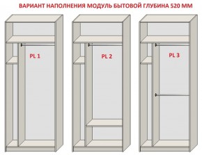 Шкаф распашной серия «ЗЕВС» (PL3/С1/PL2) Серый камень/Небраска натуральный в Первоуральске - pervouralsk.mebel24.online | фото 5