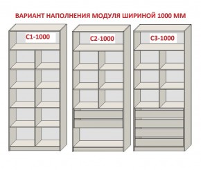 Шкаф распашной серия «ЗЕВС» (PL3/С1/PL2) Серый камень/Небраска натуральный в Первоуральске - pervouralsk.mebel24.online | фото 7