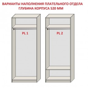 Шкаф распашной серия «ЗЕВС» (PL3/С1/PL2) Серый камень/Небраска натуральный в Первоуральске - pervouralsk.mebel24.online | фото 9