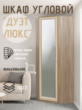 Шкаф угловой Дуэт Люкс с зеркалом в Первоуральске - pervouralsk.mebel24.online | фото 3