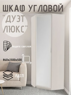 Шкаф угловой Дуэт Люкс с зеркалом в Первоуральске - pervouralsk.mebel24.online | фото 6