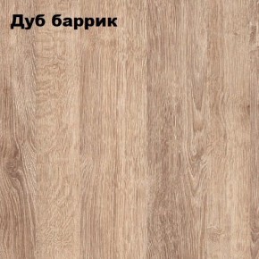 ГРАФ Стеллаж (дуб баррик) в Первоуральске - pervouralsk.mebel24.online | фото 2