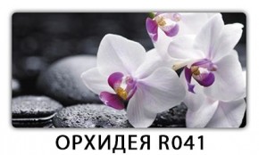 Стол раздвижной Бриз лайм R156 K-6 в Первоуральске - pervouralsk.mebel24.online | фото 18