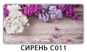 Стол раздвижной Трилогия с фотопечатью Доска D110 в Первоуральске - pervouralsk.mebel24.online | фото 16