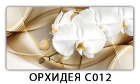 Стол раздвижной Трилогия с фотопечатью Доска D112 в Первоуральске - pervouralsk.mebel24.online | фото 13