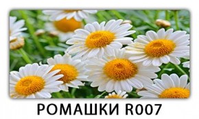 Стол раздвижной Трилогия с фотопечатью Доска D112 в Первоуральске - pervouralsk.mebel24.online | фото 15