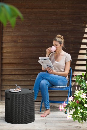 Столик-холодильник Кул-Стул (Cool stool) коричневый в Первоуральске - pervouralsk.mebel24.online | фото 2
