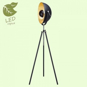 Торшер Lussole Sherrelwood GRLSP-9824 в Первоуральске - pervouralsk.mebel24.online | фото 2