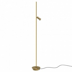 Торшер Maytoni Thin MOD395FL-L28BS3K в Первоуральске - pervouralsk.mebel24.online | фото