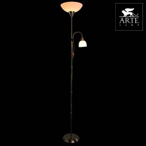 Торшер с подсветкой Arte Lamp Duetto A9569PN-2AB в Первоуральске - pervouralsk.mebel24.online | фото 3