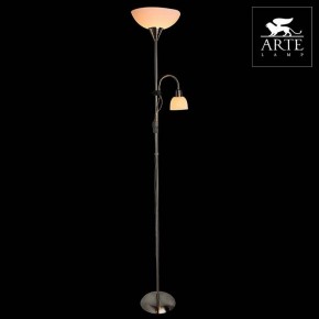 Торшер с подсветкой Arte Lamp Duetto A9569PN-2SS в Первоуральске - pervouralsk.mebel24.online | фото 3